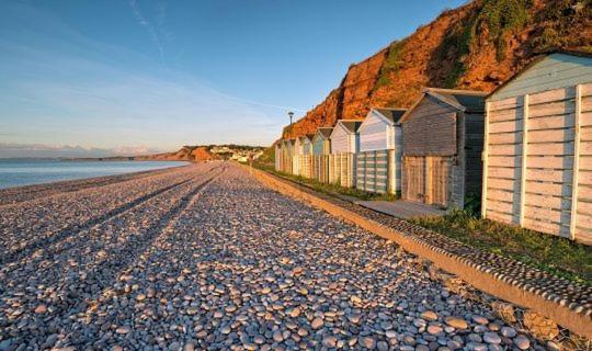 The Lawns B & B Budleigh Salterton Exterior foto